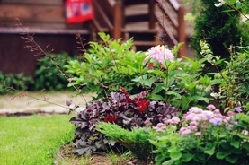 【ガーデニング】小さめの庭に華やかな空間を！オシャレな花壇の作り方＆オススメの花5選