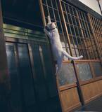 「立場逆転！？ 叱られた猫と叱った犬のやり取りがかわいいとTwitterで話題に！」の画像2