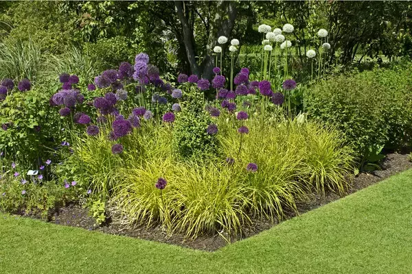 「【春のガーデニング】花がキレイに育つ花壇！作り方＆初心者にオススメの花5選」の画像