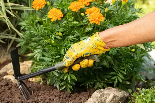 「【春のガーデニング】花がキレイに育つ花壇！作り方＆初心者にオススメの花5選」の画像