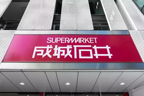 110円でお得【成城石井】『手提げ紙袋風エコバッグ』こなれた人が持ってる