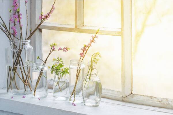 切り花を長持ちさせるコツ 上手な手入れで春の花を長く楽しもう 22年2月28日 エキサイトニュース