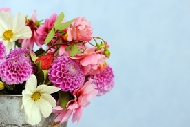 切り花を飾ってインテリアをオシャレに！初夏を彩る花々のブーケ、組み合わせ例を紹介