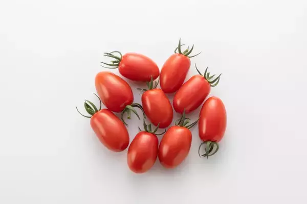 「【春の家庭菜園】ベランダや庭で育てる定番野菜「ミニトマト」初心者もプランターでカンタン収穫」の画像