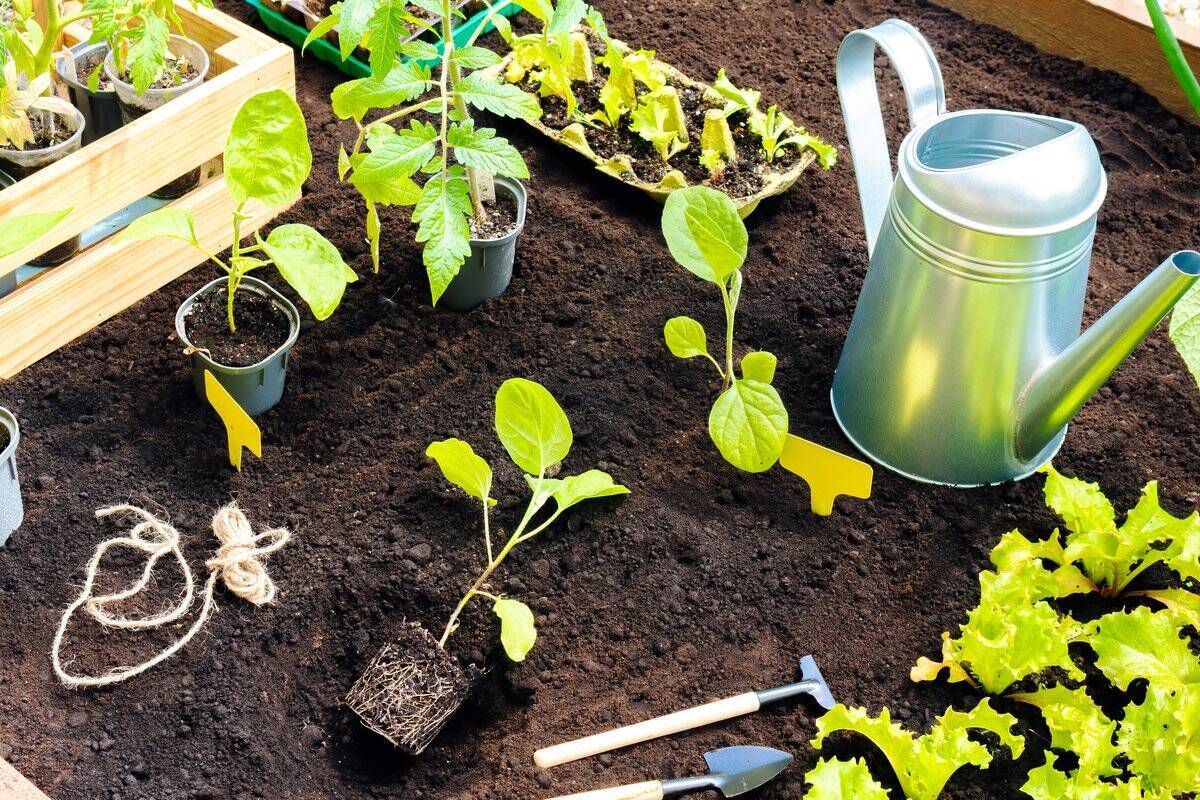 春のガーデニング 初心者にもオススメ プランターで始める家庭菜園のコツ オススメ野菜5選 22年2月24日 エキサイトニュース 春のガーデニング 初心者にもオススメ プランターで始める家庭菜園のコツ オススメ野菜5選 22年2月24日 エキサイトニュース