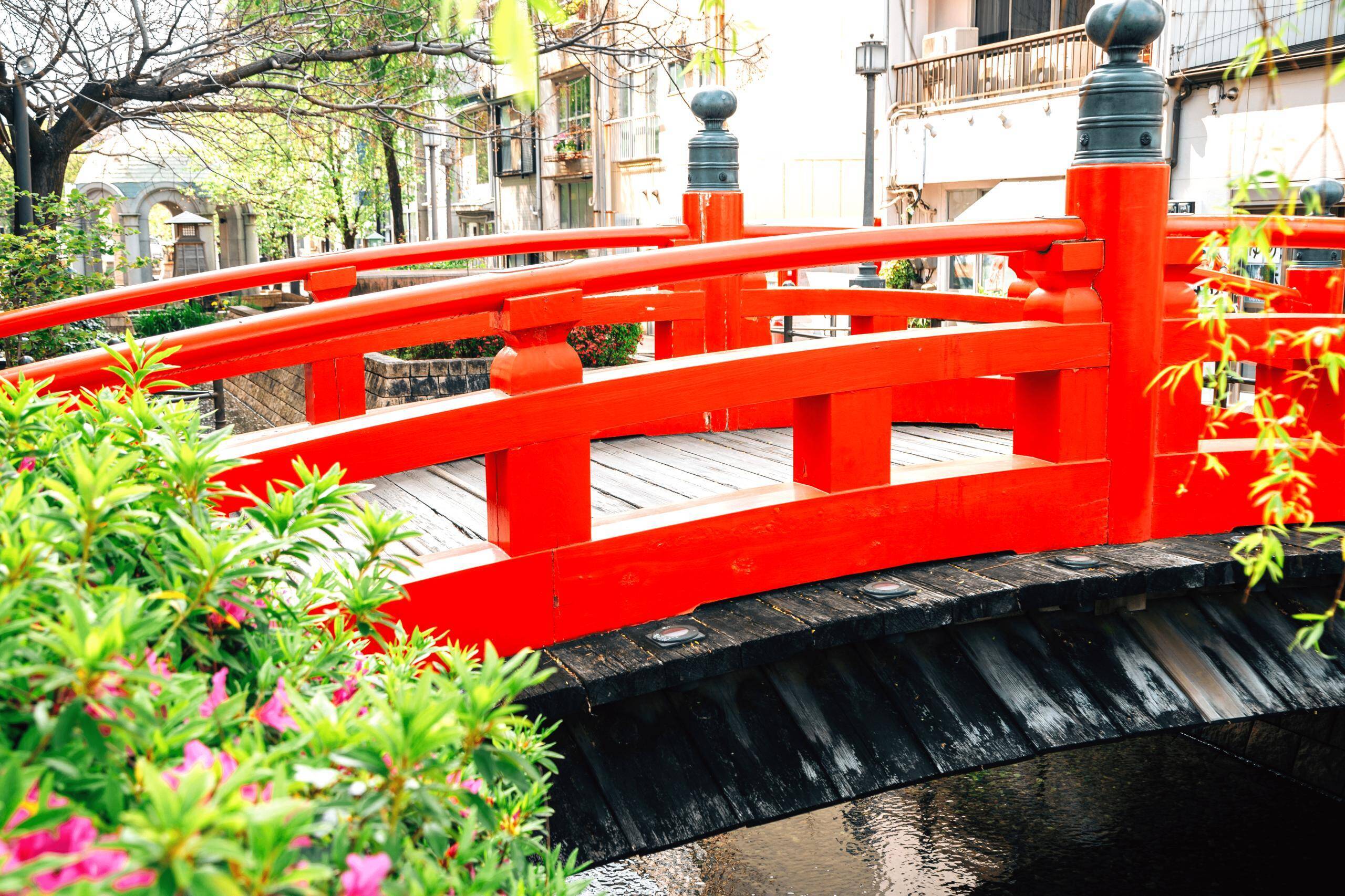 日本三大がっかり名所 夏の旅行計画に加えるのもアリ 写真つきで紹介 22年6月8日 エキサイトニュース