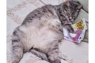 60代で貯蓄が「老後2000万円」以上の割合を円グラフでみる！厚生年金と国民年金の平均受給額も　