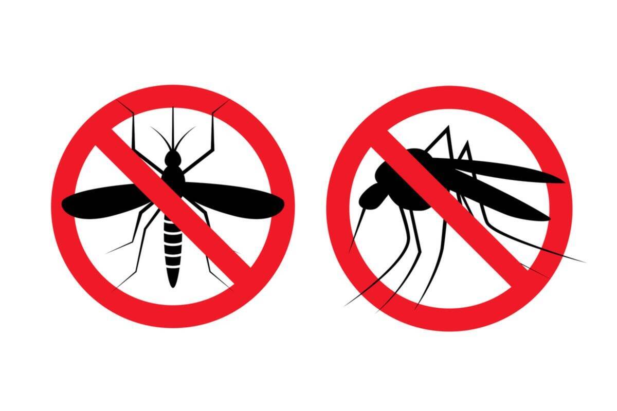 車中泊【あるあるトラブル5選】キャンピングカーで日本全国を旅した夫婦が語る「車中泊のリアル」