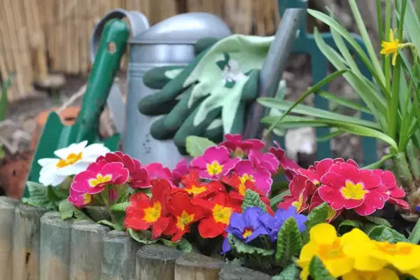 「【ガーデニング】小さな庭が特別な空間に！カワイイ花壇の作り方＆オススメの花5選」の画像