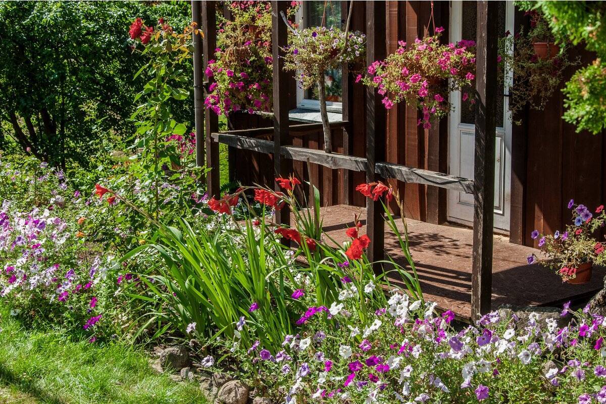春のガーデニング 花壇や庭をオシャレに見せるコツ4つ 色鮮やかなオススメの一年草も紹介 22年4月12日 エキサイトニュース