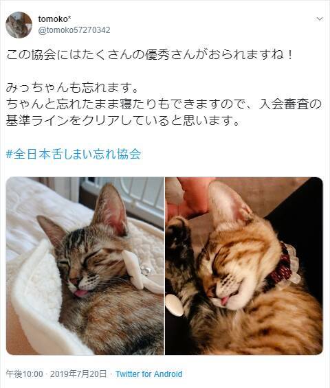 舌をしまい忘れた動物たちが悶絶級の可愛さ 全日本舌しまい忘れ協会 のみなさん 19年8月2日 エキサイトニュース