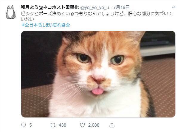 舌をしまい忘れた動物たちが悶絶級の可愛さ 全日本舌しまい忘れ協会 のみなさん 19年8月2日 エキサイトニュース