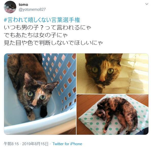 がっくりくる「言われて嬉しくない言葉選手権」 できれば言わないで！