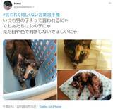 「がっくりくる「言われて嬉しくない言葉選手権」 できれば言わないで！」の画像10