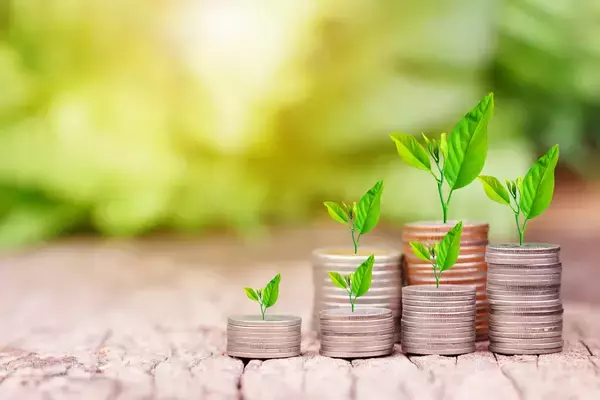 50代（二人以上世帯）の年間手取り収入と貯蓄割合はどのくらいか