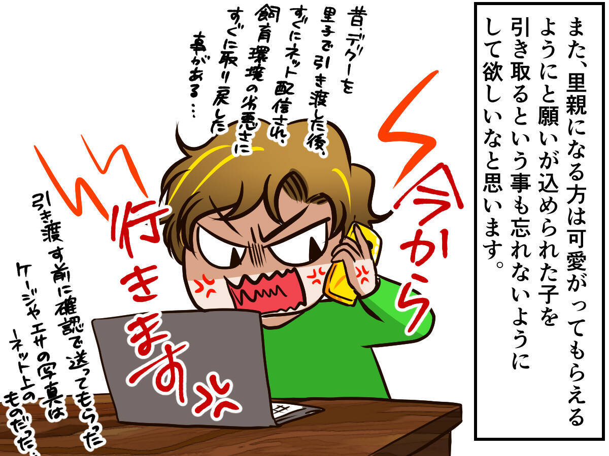 犬派 猫派に迷ったらチンチラ派はいかが チンチラとの生活に必要な準備とは 19年10月1日 エキサイトニュース