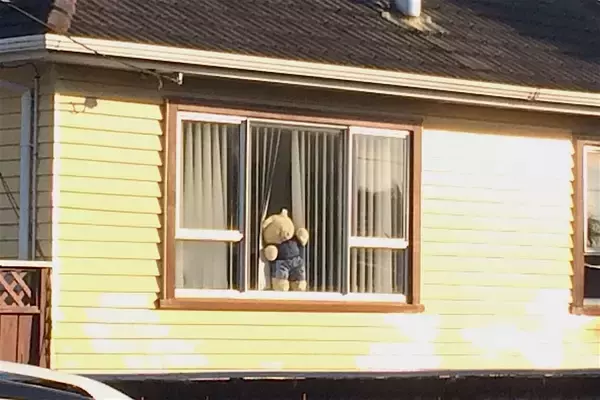 「コロナ疲れを癒すテディベア。子どもも大人も笑顔になる「クマ狩り」って何？」の画像