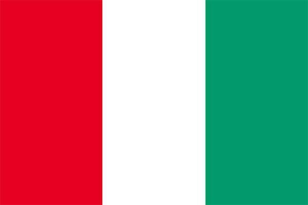 このイタリアの国旗 どこが まちがい かわかりますか 年8月9日 エキサイトニュース