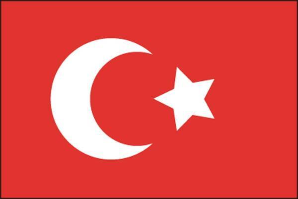 このトルコの国旗 どこが まちがい かわかりますか 難易度 年9月13日 エキサイトニュース