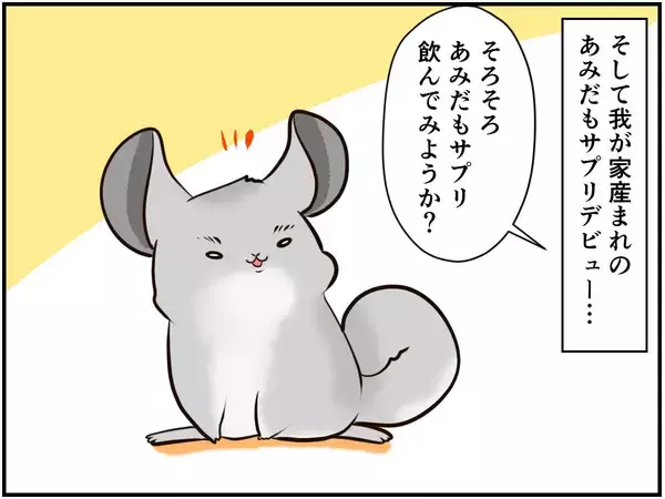 「チンチラベビーが動物サプリメントデビュー‼ 初めての香りに驚いて…⁈【チンチライフ73話】」の画像