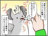 「チンチラベビーが動物サプリメントデビュー‼ 初めての香りに驚いて…⁈【チンチライフ73話】」の画像4