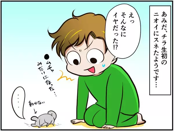 「チンチラベビーが動物サプリメントデビュー‼ 初めての香りに驚いて…⁈【チンチライフ73話】」の画像