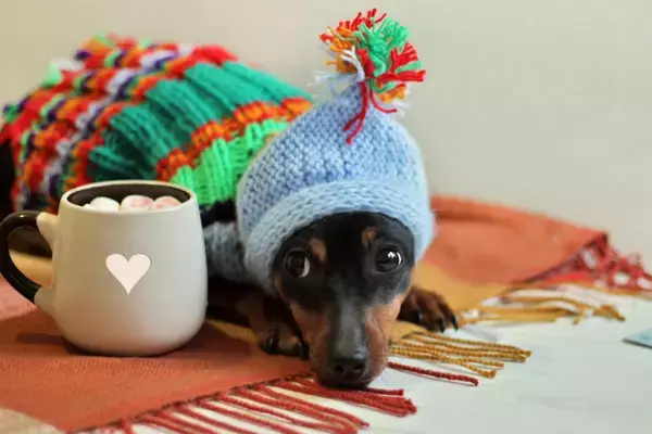 驚くほど快適！電気代を節約する「あったかアイテム」5選