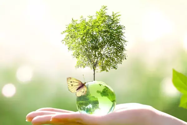 2021年投資環境見通し－注目は米国株式ｘESG ＜HSBC投信レポート＞