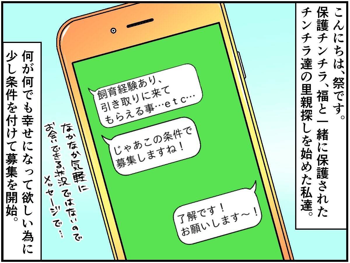 保護チンチラの里親探しは無事に成功 それぞれの新しい生活が始まる チンチライフ85話 21年2月11日 エキサイトニュース