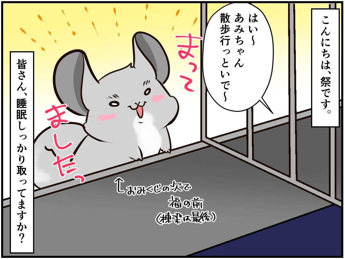 起きて チンチラを部屋んぽ中にうっかり寝オチ 目が覚めるとまゆげが チンチライフ話 21年3月18日 エキサイトニュース