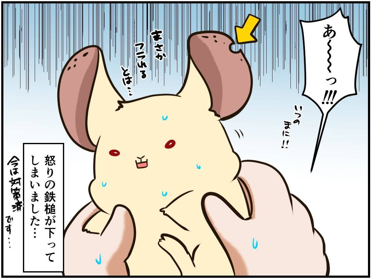 しつこい男に怒りの鉄槌！人間関係ならぬ「チンチラ関係」もなかなかに難しい⁈【チンチライフ96話】