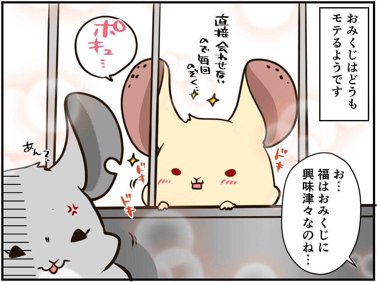 しつこい男に怒りの鉄槌！人間関係ならぬ「チンチラ関係」もなかなかに難しい⁈【チンチライフ96話】