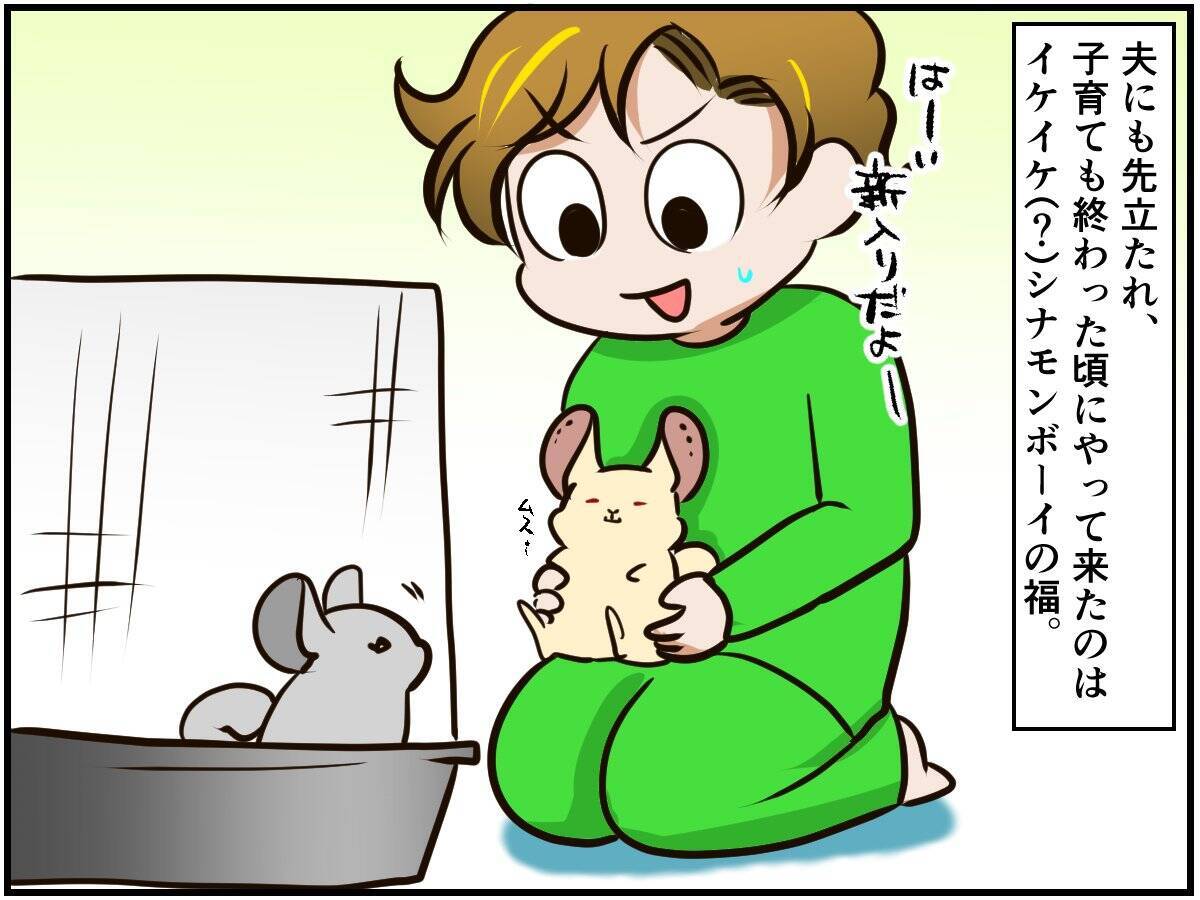 しつこい男に怒りの鉄槌！人間関係ならぬ「チンチラ関係」もなかなかに難しい⁈【チンチライフ96話】