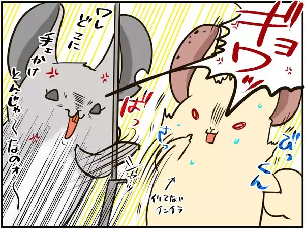 「しつこい男に怒りの鉄槌！人間関係ならぬ「チンチラ関係」もなかなかに難しい⁈【チンチライフ96話】」の画像