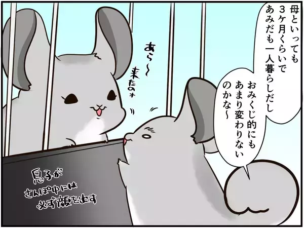 「しつこい男に怒りの鉄槌！人間関係ならぬ「チンチラ関係」もなかなかに難しい⁈【チンチライフ96話】」の画像