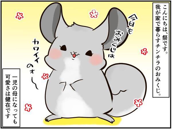 しつこい男に怒りの鉄槌 人間関係ならぬ チンチラ関係 もなかなかに難しい チンチライフ96話 21年5月6日 エキサイトニュース