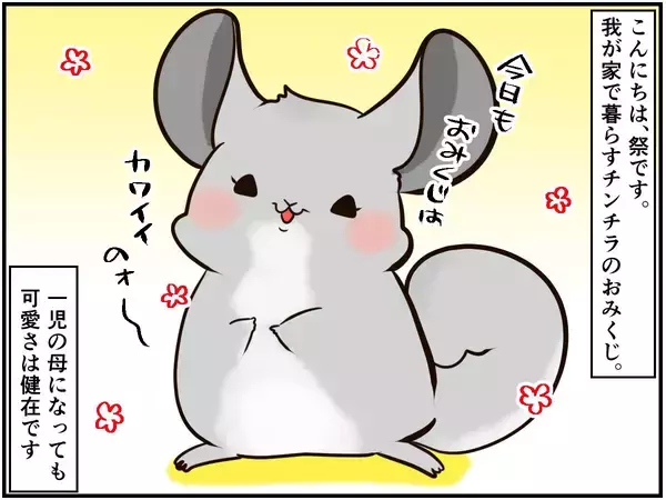 「しつこい男に怒りの鉄槌！人間関係ならぬ「チンチラ関係」もなかなかに難しい⁈【チンチライフ96話】」の画像