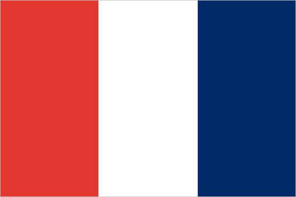 このフランス国旗 まちがいはどこでしょう 難易度 21年7月29日 エキサイトニュース