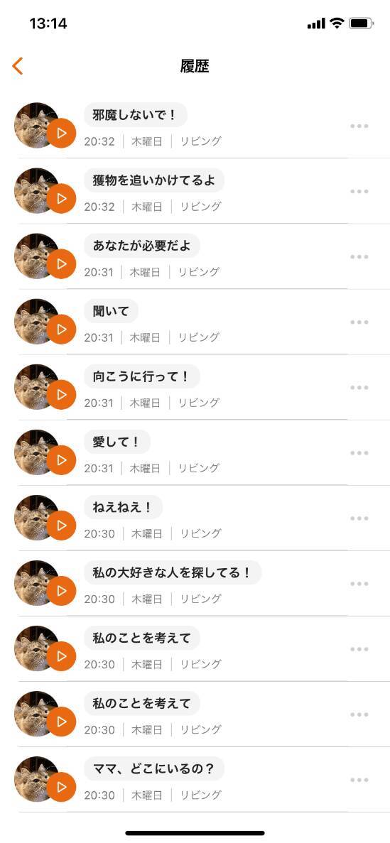 【猫好き必見】「にゃんトーク」の開発元は何者？調べてみた