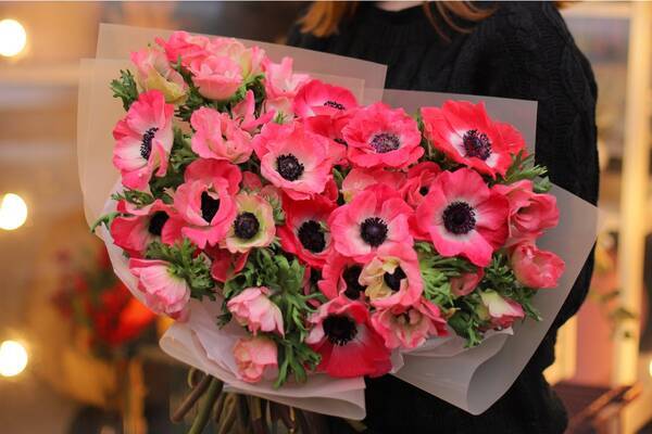 あつ森に登場する花 アネモネの育て方 鉢植えでも切り花でも楽しめる 21年12月日 エキサイトニュース あつ森に登場する花 アネモネの育て方 鉢植えでも切り花でも楽しめる 21年12月日 エキサイトニュース