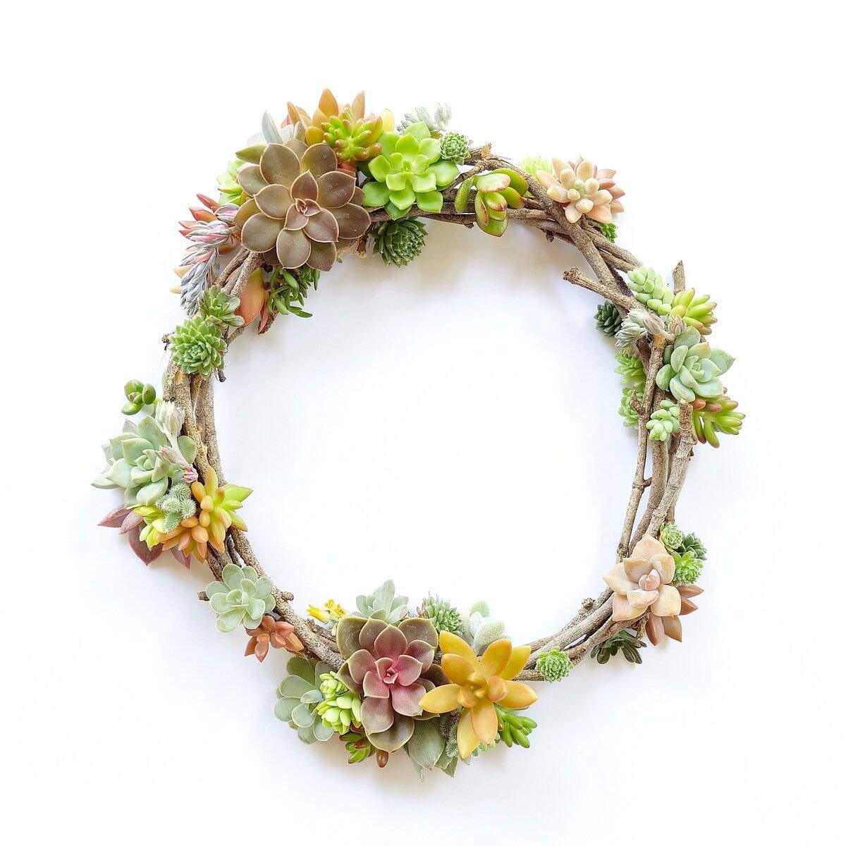 予想外のかわいさ 多肉植物のリース 作り方 オシャレに仕上がるコツを紹介 21年12月30日 エキサイトニュース 3 3