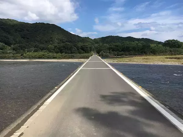 「四万十川で天然ウナギを食べてみた」の画像