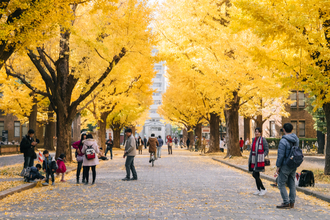 憧れの年収2000万円層は東京のどこに住んでいるのか