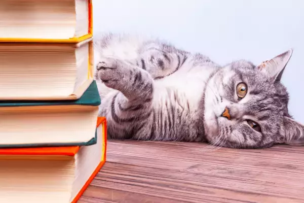 「国会図書館が「猫まみれ」のイベント開催へ！その驚きのワケとは」の画像