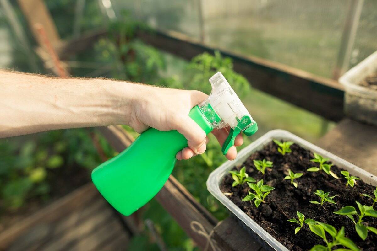 家庭菜園の虫除け対策 農薬を使わず野菜を守る 虫を近づけないコツも紹介 22年3月24日 エキサイトニュース