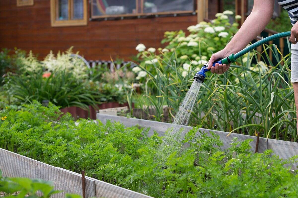 家庭菜園の虫除け対策 農薬を使わず野菜を守る 虫を近づけないコツも紹介 22年3月24日 エキサイトニュース 2 3