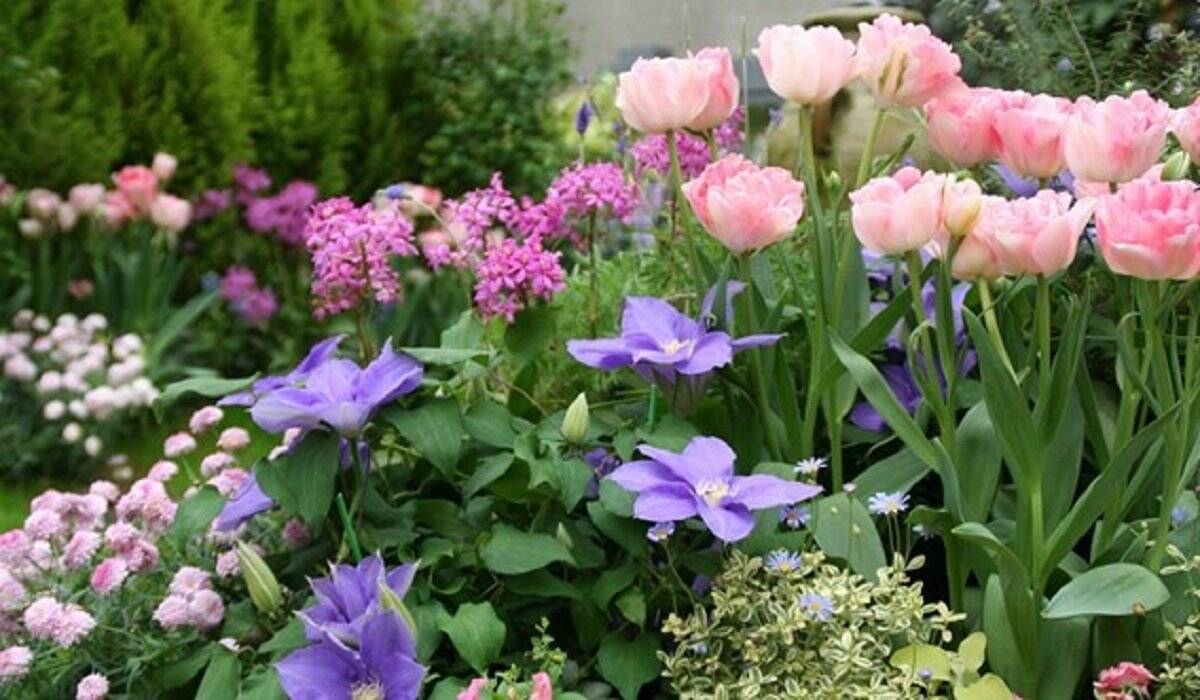 春のガーデニング 色の組み合わせでオシャレな庭に ピンクの花10種 ブルーの花5種を紹介 22年3月28日 エキサイトニュース