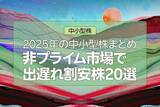 「2025年の中小型株まとめ 非プライム市場で出遅れ割安株20選」の画像1