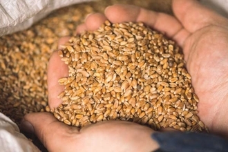 原油下落でも残る不安。投資のアイデアはある？