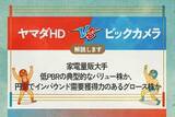 「ヤマダHD vs ビックカメラ　家電量販大手 低PBRの典型的なバリュー株か、円安でインバウンド需要獲得力のあるグロース株か」の画像1